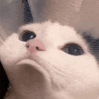 ae579b621571764948c7b798b08dd6a46a6362c1890bc8a66b3a4a9e5ee35980.gif