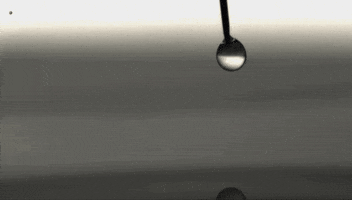e85245de2e5f62104729d7c9b31a02625697ec888cfe3cf857ed0a0e62616652.gif