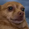 saucerpants