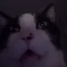 Wacky