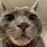 TinyPCOSgirl