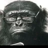 Smartmonkey82