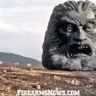 MrZardoz