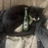 docka
