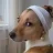 Stace_wow