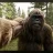 Sasquatch