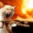 cat_walk