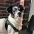 ColdBubbles